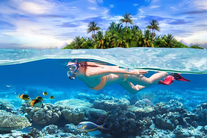 Snorkeling Trip